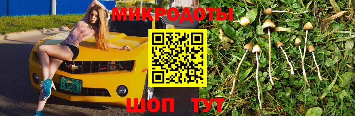 Галлюциногенные грибы Cubensis  Вход с VPN  Галлюциногенные грибы мицелий  Ржев 