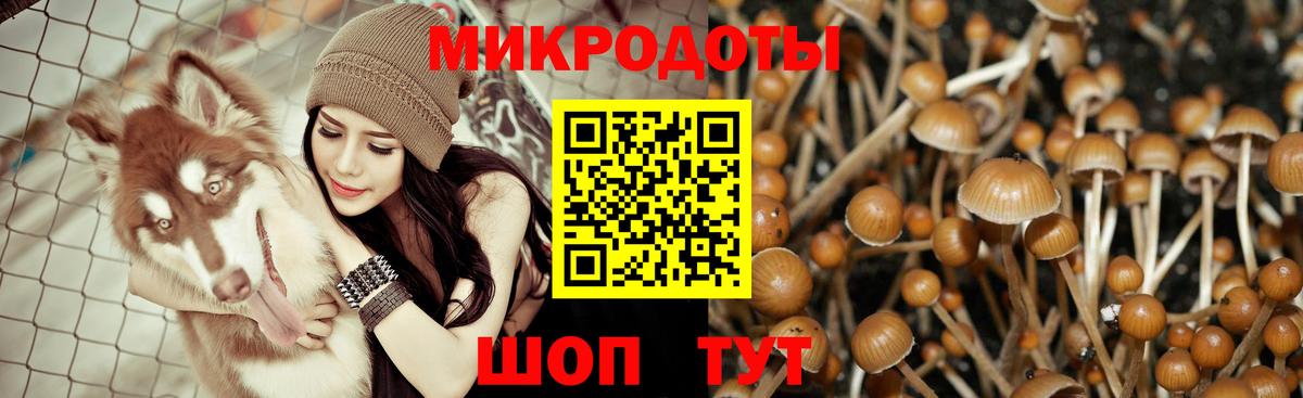 Псилоцибиновые грибы MAGIC MUSHROOMS Ржев