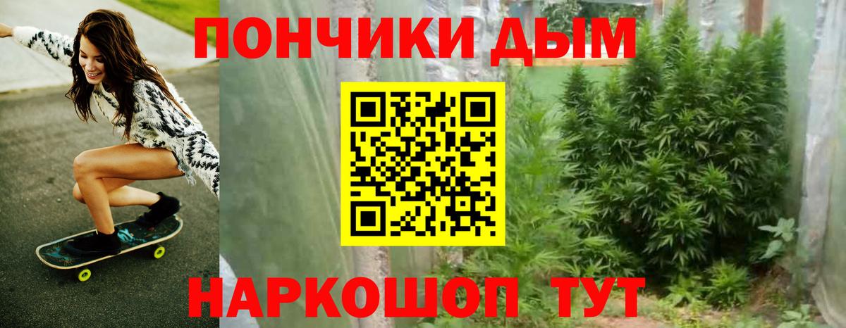 Бошки Шишки сатива Ржев